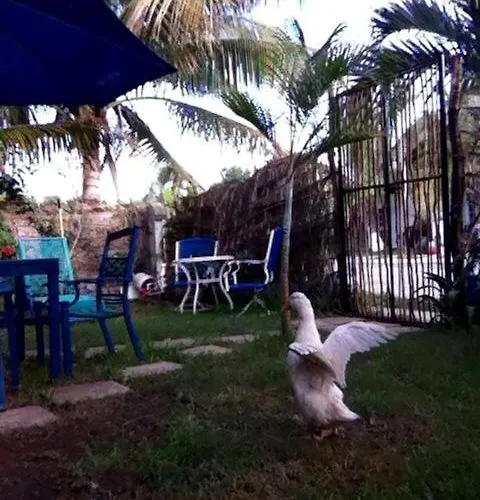 Home Playa Del Carmen *